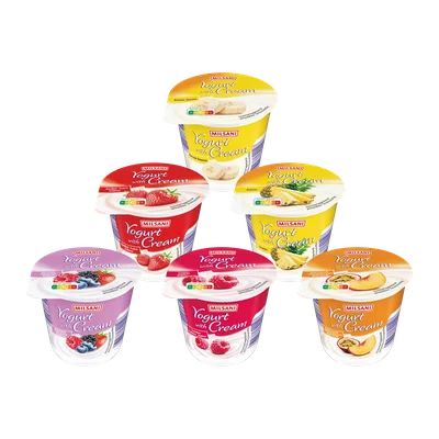 Milsani Roomyoghurt met vruchten