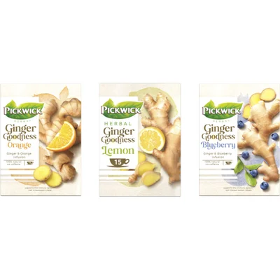Pickwick Ginger goodness bundel