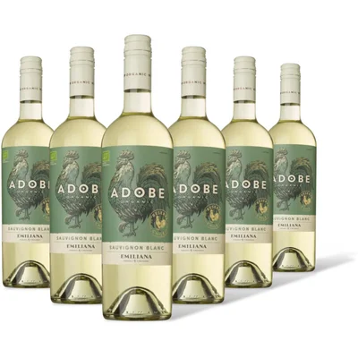 Adobe Sauvignon blanc reserva 6 flessen
