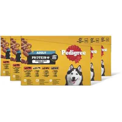 Pedigree Adult protein+ selectie in gelei 5-pack