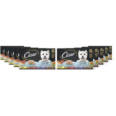 Cesar Hondenvoer senior 10+ jaar 10-pack