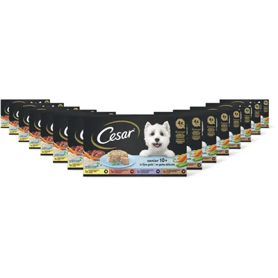 Cesar Hondenvoer senior 10+ jaar 15-pack