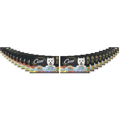 Cesar Hondenvoer senior 10+ jaar 22-pack