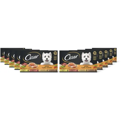Cesar Hondenvoer nat primeur 10-pack