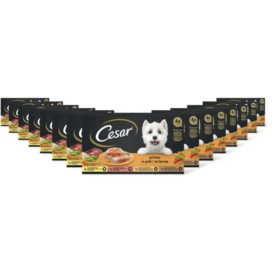Cesar Hondenvoer nat primeur 15-pack