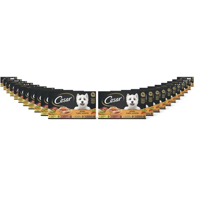 Cesar Hondenvoer nat primeur 22-pack