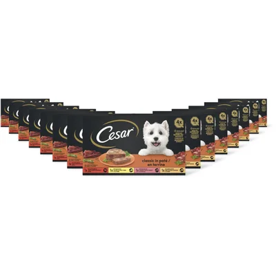 Cesar Classic in patÃ© 15-pack