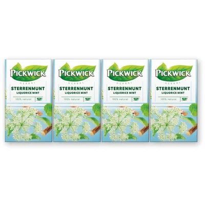 Pickwick Herbal sterrenmunt kruidenthee Doos 20 st (4 st)