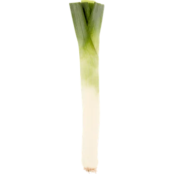 Jumbo Prei