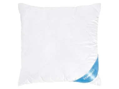 LIVARNO® Hoofdkussen 60 x 50 cm