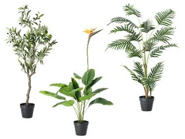 LIVARNO® Kunstplant