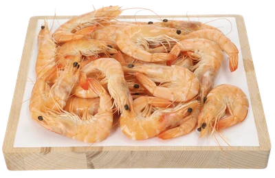 SEA FRESH Hele gambas gekookt