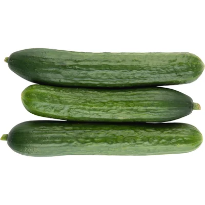 Mini komkommer