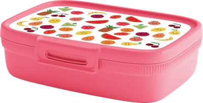 Curver Lunchbox 1.3ltr 6 assor