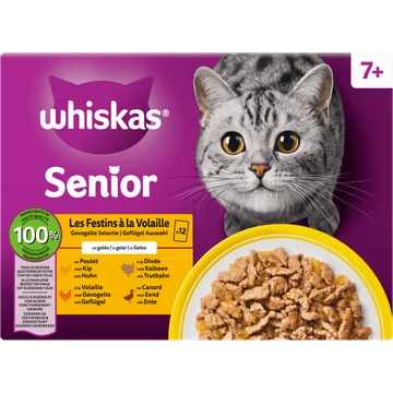 Whiskas Senior Gevogelte Selectie in Gelei 7+ 12 x 85 g