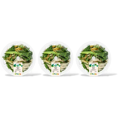 AH Terra Plantaardig stoommaaltijd gyoza bowl 3pk