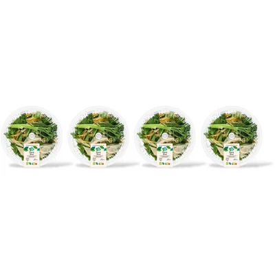 AH Terra Plantaardig stoommaaltijd gyoza bowl 4pk