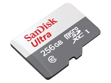 SanDisk Geheugenkaart microSDXC Ultra Lite 256 GB