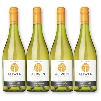 Aliwen Aliwen Chardonnay reserva 4 flessen