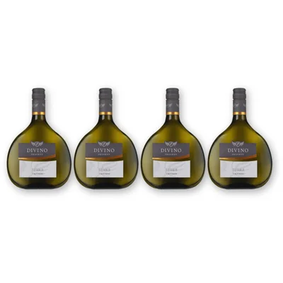 Divino Divino Nordheim Silvaner 4 flessen