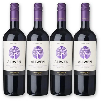 Aliwen Aliwen Cab. Sauv. Carmenère 4 flessen