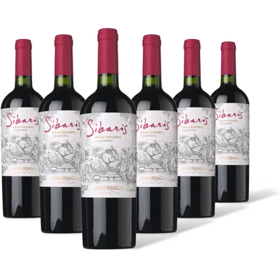 Sibaris Sibaris Carmenère Gran Res. 6 flessen
