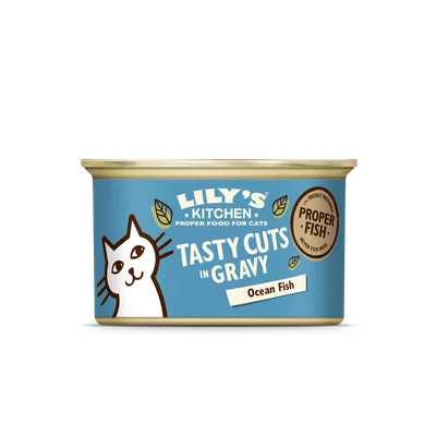 Lily's Kitchen cat Tasty Cuts Fish gravy blik