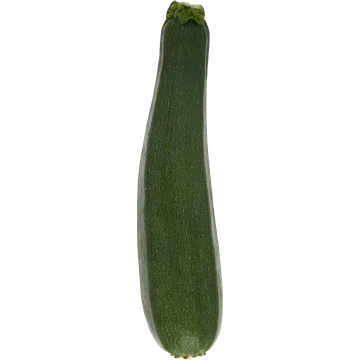 Jumbo Courgette
