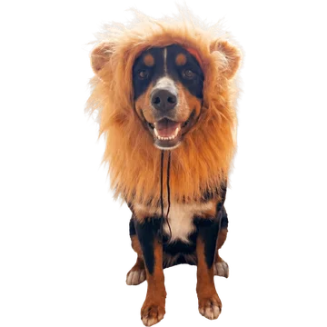 Jumbo Manentooi