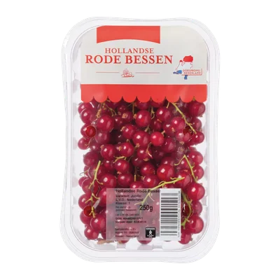 Hollandse rode bessen
