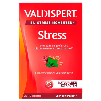 Valdispert Stress Moments Tabletten