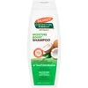 Palmer's Coconut Oil Shampoo 400 ML