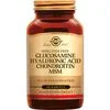 Solgar Glucosamine Hyaluronic Acid Chondroitin MSM Tabletten 60 stuks