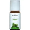Jacob Hooy Essentiële Olie Dennen 10 ML