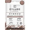 Eylure Dybrow Dye Kit  Medium Bruin