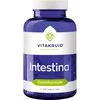 Vitakruid Intestina 120 stuks