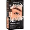 L'Oréal Paris Brow Color Wenkbrauwverf 3.0 Dark Brunette 30 ML