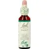 Bach Bloesem Essence Walnut 20 ML