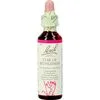 Bach Bloesem Essence Star of Bethlehem 20 ML