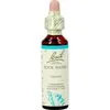 Bach Bloesem Essence Rock Water 20 ML