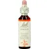 Bach Bloesem Essence Mimulus 20 ML