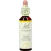 Bach Bloesem Essence Hornbeam 20 ML