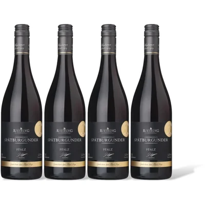 AH Excellent Chianti Classico 4 flessen