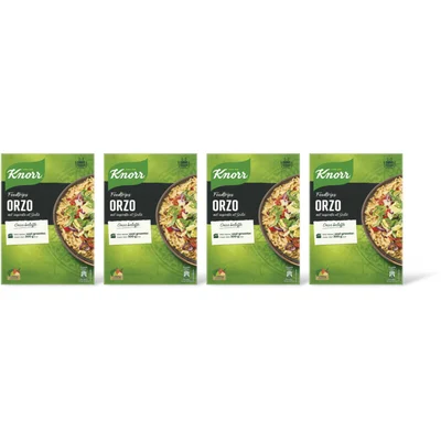 Knorr Foodtrips orzo 4-pack