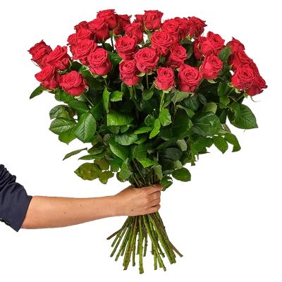 AH Rode rozen 20 stuks