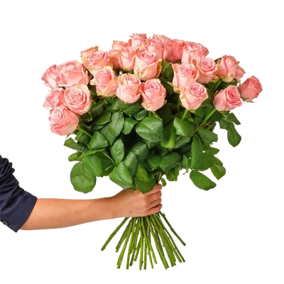 AH Roze rozen x20