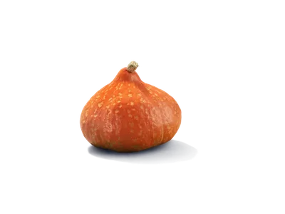 AH Biologisch Pompoen