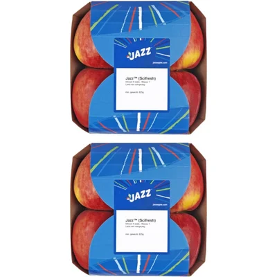AH Appels schaal 2-pack