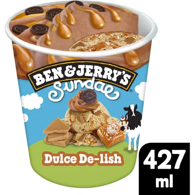 Ben & Jerry's Marshmallow & s'more
