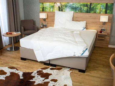 BeCo Winterdekbed ANTI-ALLERGIE